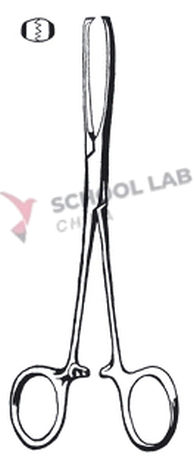 Forceps,tissue,Allis,150mm